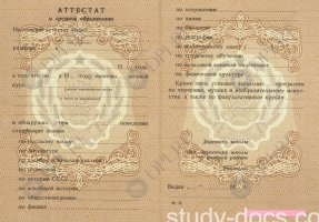 Аттестат 8 классов Аттестат 8 классов в Батайске
