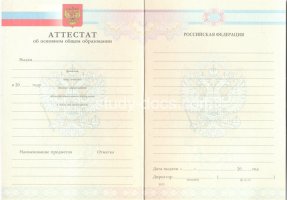 Аттестат за 9 класс 2007-2010 в Батайске