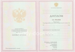 Диплом колледжа 2003-2006 в Батайске
